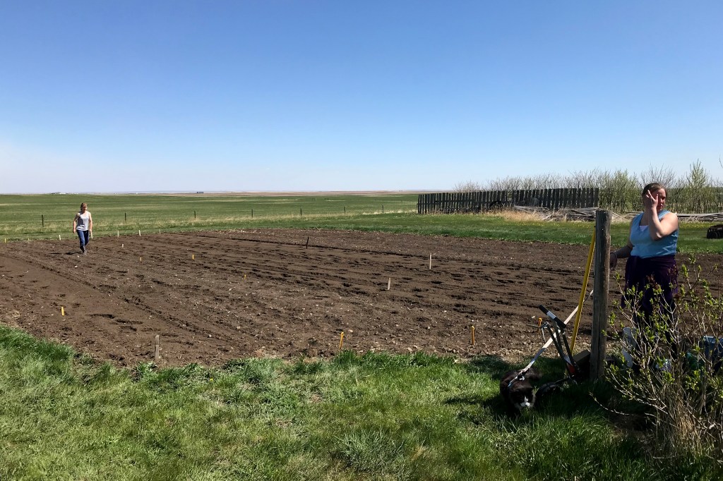 🌱 Planting Season…&nbsp;🌱